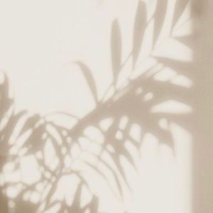 Meet your Posher, Katelyn